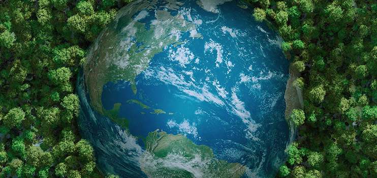 Coloray participe activement à la cause mondiale de la protection de l'environnement.